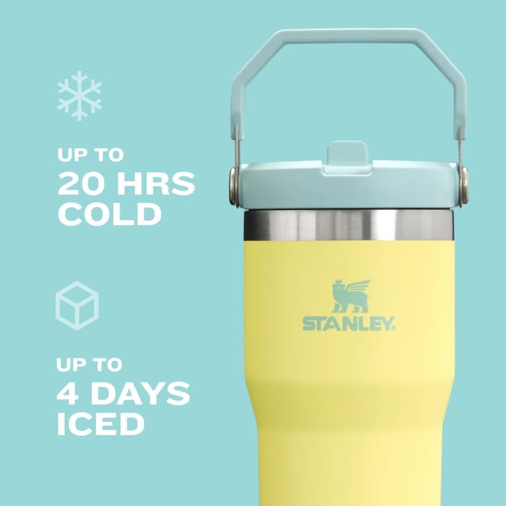 Stanley Stainless Steel Tumbler- Vacuum Insulated Water Bottle 30 OZ / 0.89 L